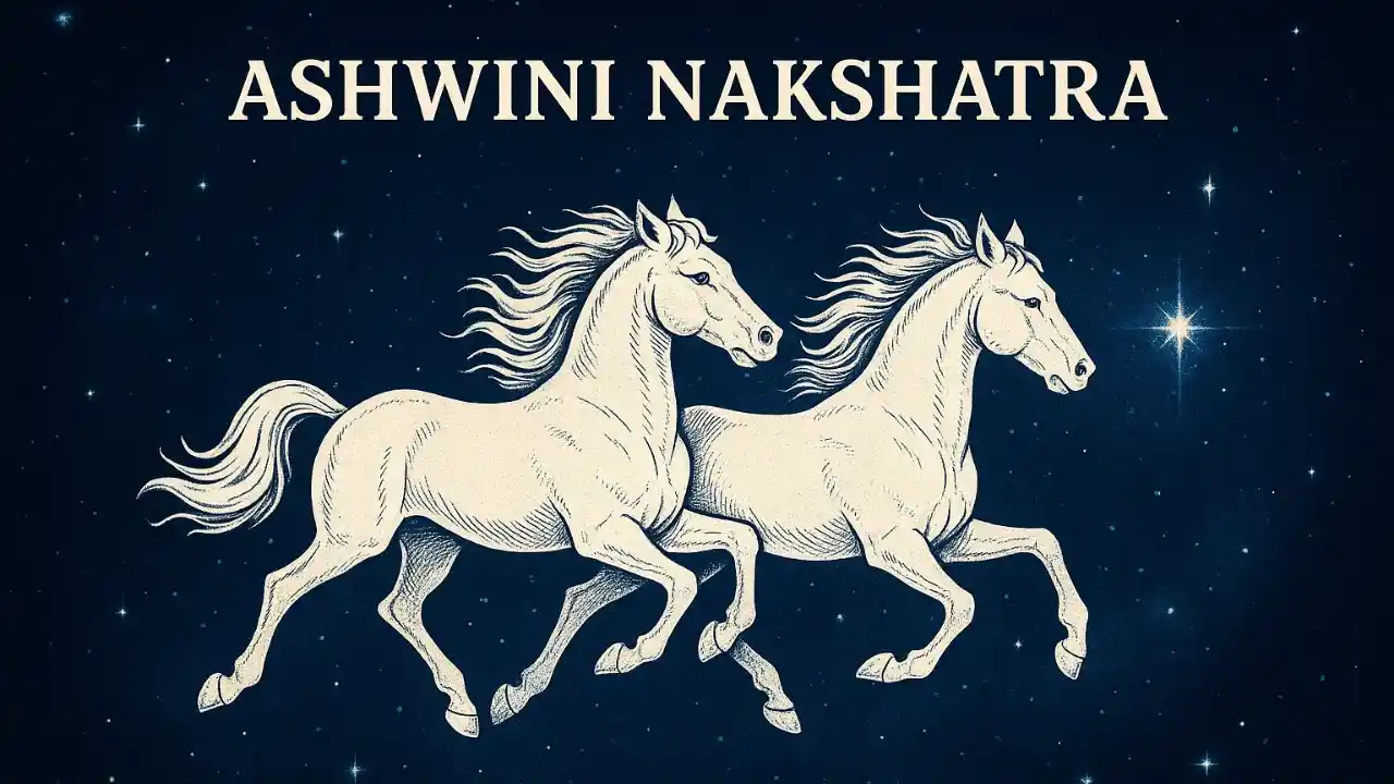 Ashwini Kumaras in Vedic Medicine Ashwini Nakshatra